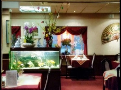 Foto: Mandarin
